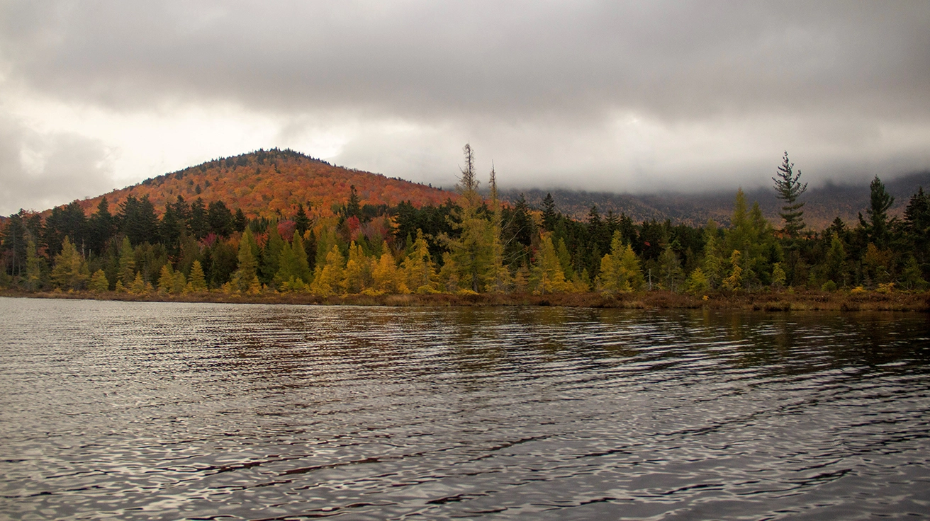 Maine Fall Foliage